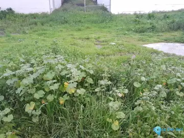 119m2 Plot for Sale in Casares