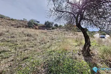 612m2 Plot for Sale in Coín-58907