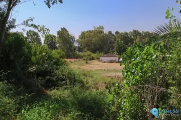 3000m2 Plot for Sale in Coín-58945