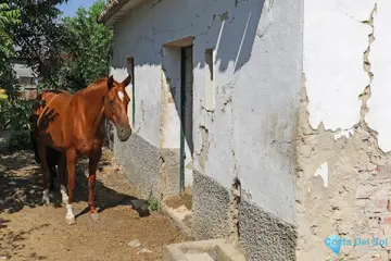 3000m2 Plot for Sale in Coín-58947