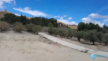 2859m2 Plot for Sale in Casarabonela