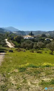6700m2 Plot for Sale in Monda