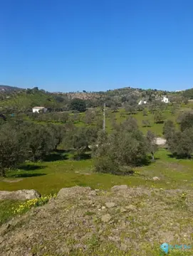 6700m2 Plot for Sale in Monda-59017
