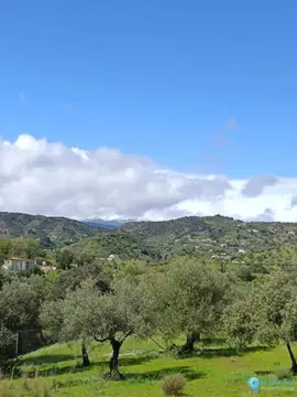 6700m2 Plot for Sale in Monda-59019