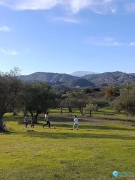 6700m2 Plot for Sale in Monda-59020