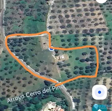 6700m2 Plot for Sale in Monda-59026