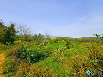 1 bedroom House for Sale in Coín