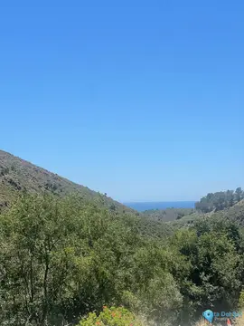1442m2 Plot for Sale in Ojén
