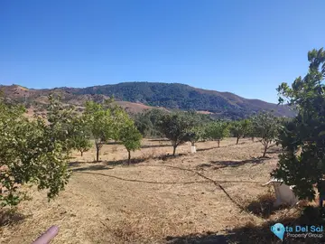 12187m2 Plot for Sale in Casarabonela-59269
