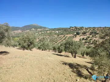 12187m2 Plot for Sale in Casarabonela-59278