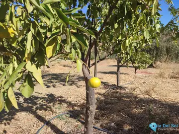 12187m2 Plot for Sale in Casarabonela-59272