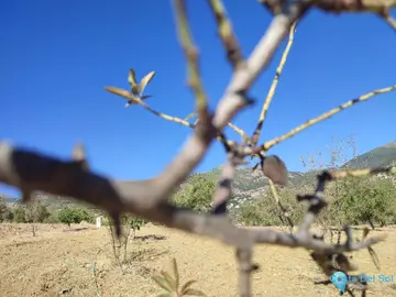 12187m2 Plot for Sale in Casarabonela-59274