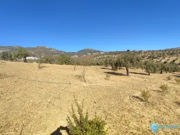 12187m2 Plot for Sale in Casarabonela-59275