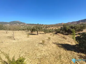 12187m2 Plot for Sale in Casarabonela-59276