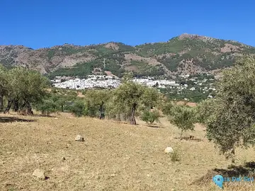 12187m2 Plot for Sale in Casarabonela-59277