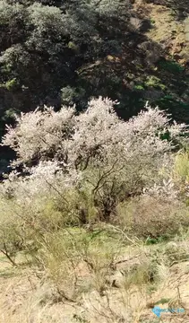 118358m2 Plot for Sale in Málaga-59472