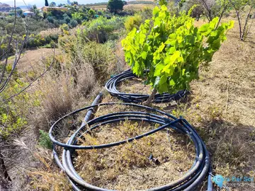 13500m2 Plot for Sale in Coín-59511