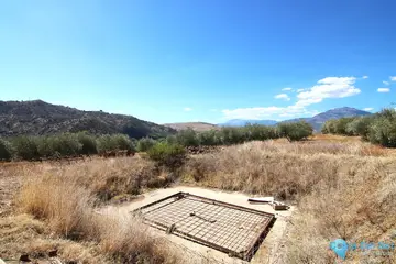 18606m2 Plot for Sale in Zalea-59530