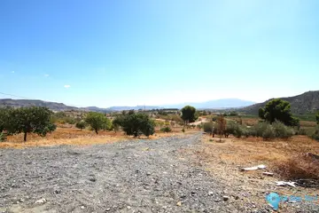 18606m2 Plot for Sale in Zalea-59534