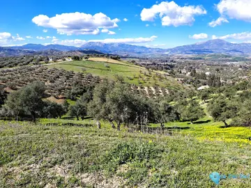 22821m2 Plot for Sale in Coín