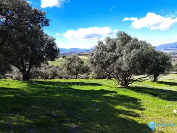 22821m2 Plot for Sale in Coín-59617