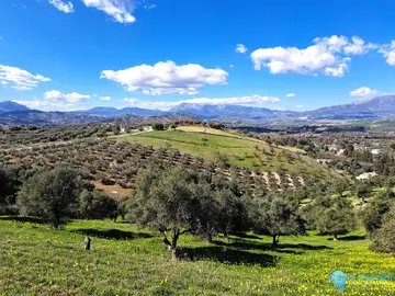 22821m2 Plot for Sale in Coín-59618
