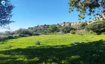 17000m2 Plot for Sale in Marbella-470