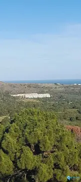 7632m2 Plot for Sale in Selwo-60427