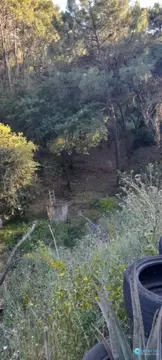 7632m2 Plot for Sale in Selwo-60430