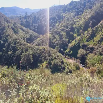36230m2 Plot for Sale in Monda-60501