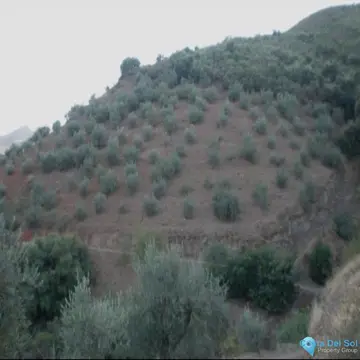 36230m2 Plot for Sale in Monda-60506