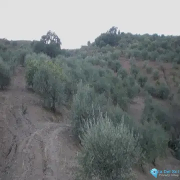36230m2 Plot for Sale in Monda-60511