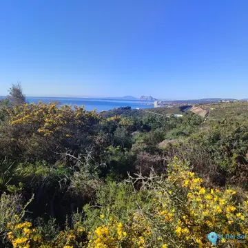 451m2 Plot for Sale in San Diego