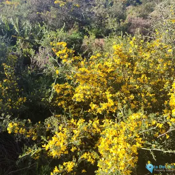 451m2 Plot for Sale in San Diego-60935