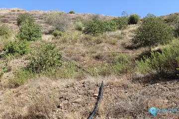 47500m2 Plot for Sale in Alora-60944