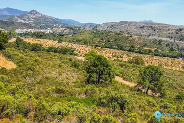 6360m2 Plot for Sale in Benahavís