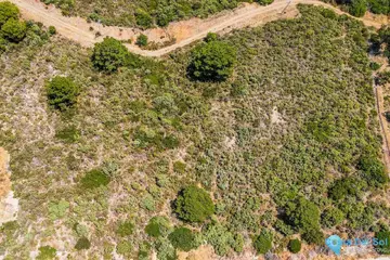 6360m2 Plot for Sale in Benahavís-61023