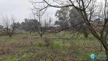10388m2 Plot for Sale in Alhaurín el Grande-61096