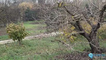 10388m2 Plot for Sale in Alhaurín el Grande-61085