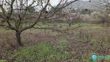 10388m2 Plot for Sale in Alhaurín el Grande-61086