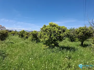 3413m2 Plot for Sale in Alhaurín de la Torre-61384