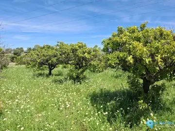 3413m2 Plot for Sale in Alhaurín de la Torre-61376