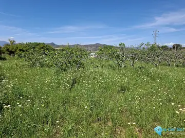 3413m2 Plot for Sale in Alhaurín de la Torre-61379