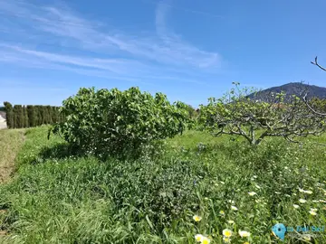 3413m2 Plot for Sale in Alhaurín de la Torre-61381