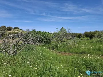 3413m2 Plot for Sale in Alhaurín de la Torre-61382