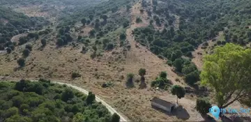 66548m2 Plot for Sale in San Martín de Tesorillo