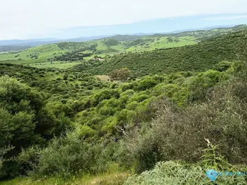 66548m2 Plot for Sale in San Martín de Tesorillo-61833