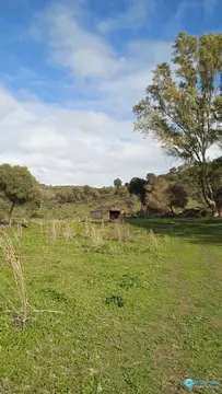 66548m2 Plot for Sale in San Martín de Tesorillo-61816