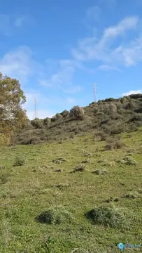 66548m2 Plot for Sale in San Martín de Tesorillo-61820