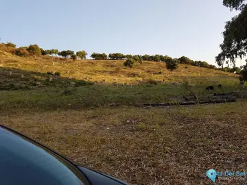 66548m2 Plot for Sale in San Martín de Tesorillo-61823